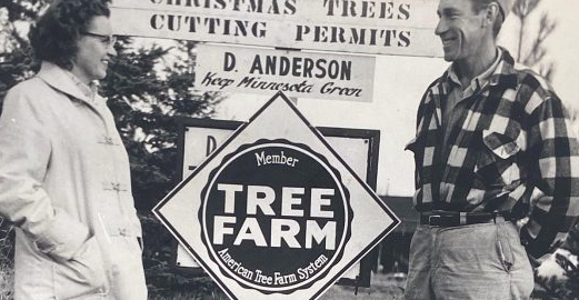 Finland Agricultural History D. Anderson’s Tree Farm