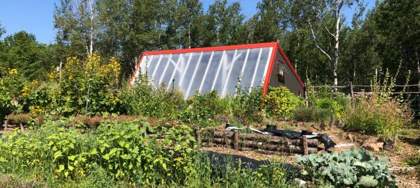 Producer Profile: AgroEcology Center